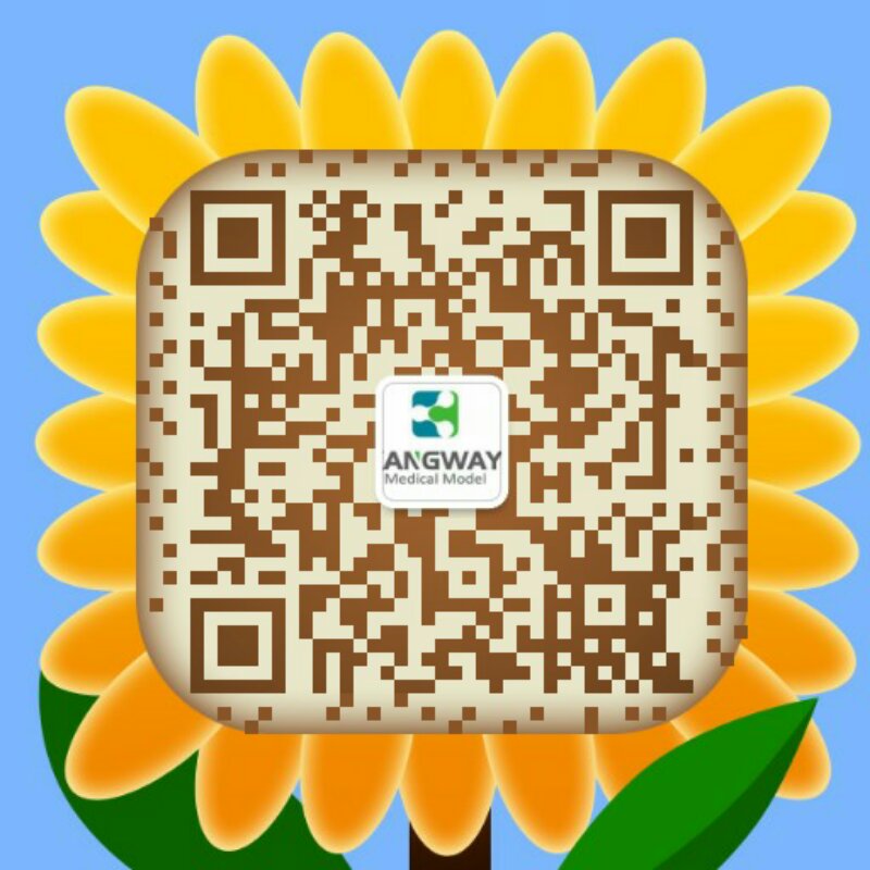 康為醫療甘肅分公司微信二維碼