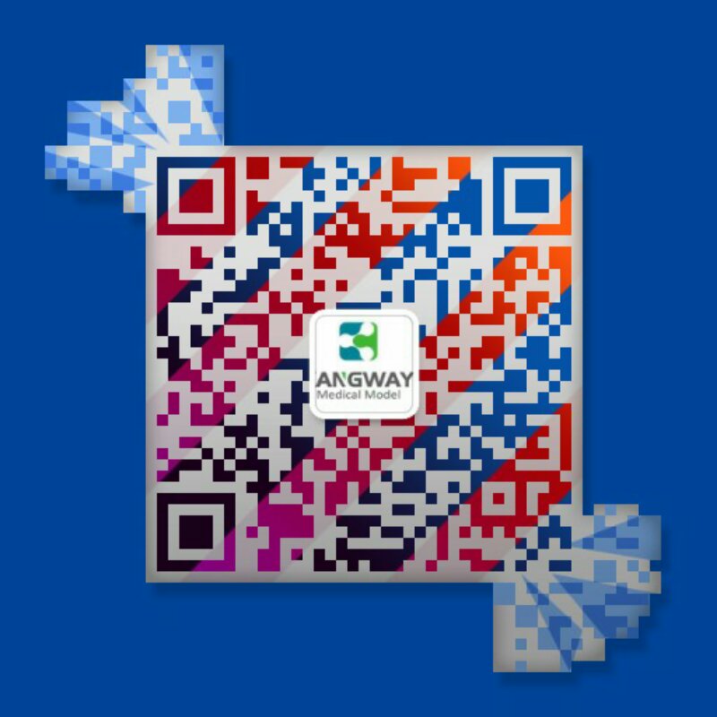 康為醫療江蘇分公司微信二維碼