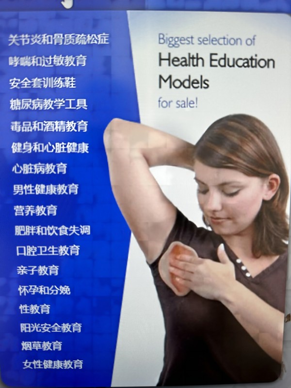 康為醫療健康教育模型